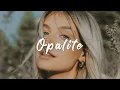 Download Lagu Taylor Swift ~ Opalite (Lyrics)