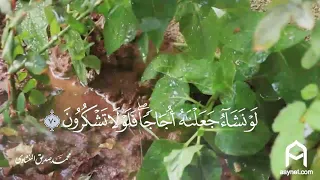  أفرأيتم الماء الذي تشربون  بصوت الشيخ  محمد صديق المنشاوي دندنها