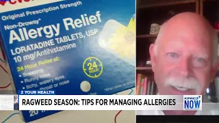 Ragweed Season How Houston residents can manage their allergies