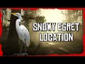 Snowy Egret Location Red Dead Online