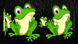 suara kodok suara katak kodokngorek katak suarakodok