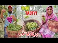 Download Lagu Small in Size BUT Sweetest Grapes Ever! 😱 | Winter Stock 2025🍇| Organic Grapes Harvest | Vlog Gilgit