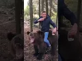 Download Lagu A boy is riding a bear #shorts #bearride