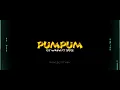 Download Lagu Dj Wayn Feat. Spice - Pum Pum ( Remix 2022  )