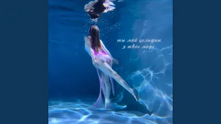 Ты мой дельфин я твоё море 