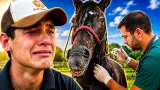 INJEÇÃO na NUCA de CAVALO