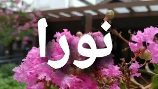 أغنية أسم نورا نورا 