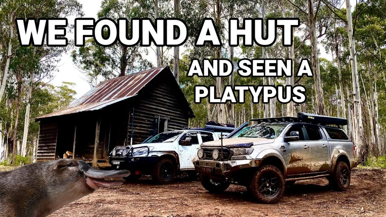 Bago State Forest
