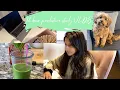 VLOG STUDYING FOR ABFM BOARD EXAM HOW I STUDY