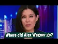 Why Did Alex Wagner Leave MSNBC and What Is She Doing Now