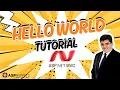 ASP Net C Hello World Tutorial with Sample Program example