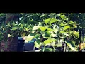 S O H N - "The Wheel" (Music Video)