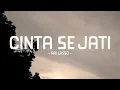 Lagu ari lasso - cinta sejati - pop lirik