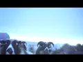 Four Tet - Lion (Jamie xx Remix)
