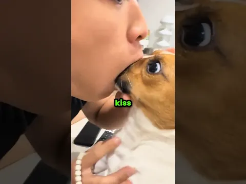 Never Kiss Your Dog Like This 🐕