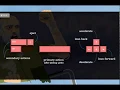 How to Play Happy Wheels Unblocked