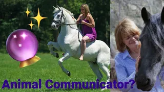 An ANIMAL COMMUNICATOR does a reading on my horse?!