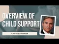 Overview of Child Support