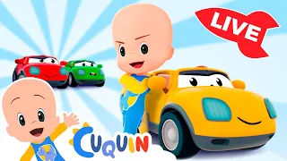 🔴 AO VIVO 🔴Aprenda cores, números e formas com Cuquin|Vídeos educativos para crianças