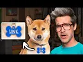 Download Lagu Is Link A Dog Or A Human Name?