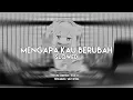 Lagu DJ Mengapa Kau Berubah Bootleg Slowed - Viral TikTok 2025 (SMXXL x QUEEN FIRA)