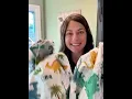 Must-Have Dinosaur Sheets Transform Bedroom Decor