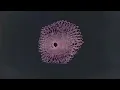 ZEBSONIC - Miami (Extended Mix) (Visualizer)
