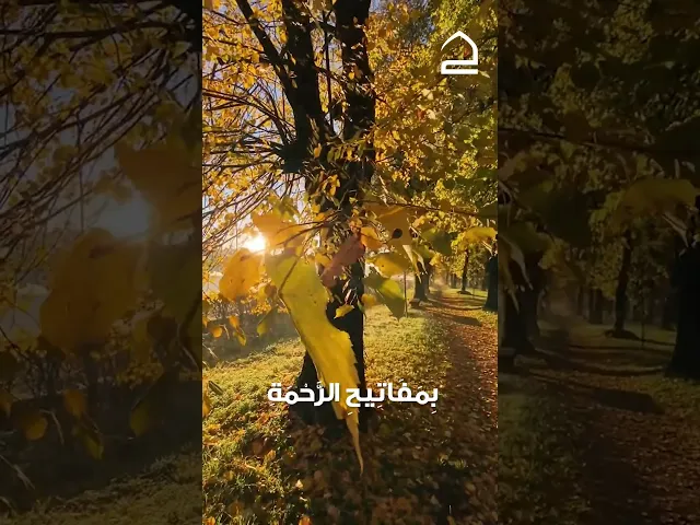 ⁣دعاء الصباح| القارئ احمد الفتلاوي|