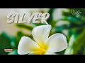 Download Lagu OMESURCH BY SILVER | SEL OMEI ALBUM