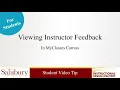 Viewing Instructor Feedback