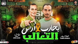 بحارب فى ارض التعالب تامر شريعة اوشا مصر طلعات جديدة 2024 لعشاق الروقان والحظ شعبي جديد2024  بحارب فى ارض التعالب تامر شريعة اوشا مصر طلعات جديدة 2024 لعشاق الروقان والحظ شعبي جديد2024