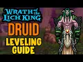 Druid Leveling Guide 1-80 Wrath WOTLK