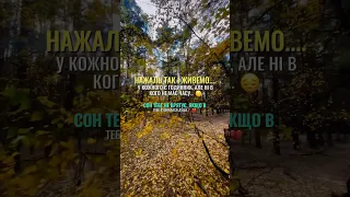 ГІРКА ПРАВДА ЖИТТЯ Music цитаты життя природа почуття кохання любовь слова душа Ua 