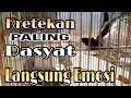 Download Lagu KRETEKAN PALING DASYAT,, MEMANCING EMOSI LAWAN