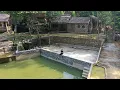 Download Lagu The guy built a super strong stone wall to make a fish pond - started raising fish