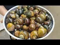 Download Lagu Awesome Recipe || Snails | Indian Live Snails Masala Curry | Cooking \u0026 Cleaning Snails Village Style