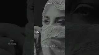 وسل د ار  س لمى والر  ب وع  ف ك م أ س ل    شعر امرؤ القيس   اقتباسات حب دندنها