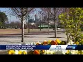Iowa s high pollen count causing spring allergies