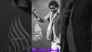 حرية  منير    دندنها