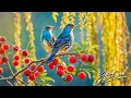 Download Lagu Музыка лечит бессонницу, полезна для сердца и успокаивает нервную систем🌿Музыка успокаивает душу #12