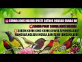 Download Lagu Suara pikat sogon,konin,kowul,king konin,pijantung pisang,sepah raja...