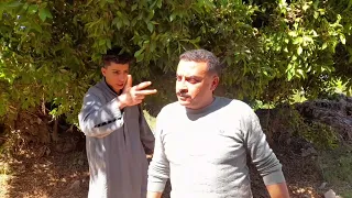 اخره الصحوبيه دندنها