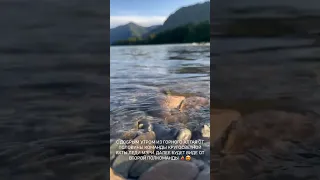 Скоро юнга и старпом улетят из Горного Алтая на яхту к капитану и вторпому ))