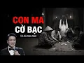 Lagu Truyện Ma Nguyễn Ngọc Ngạn | Con Ma Cờ Bạc | Truyen co that 2025