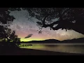 Frames - Don t Stay Here