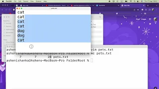 How to use the WC command to count number of lines words and characters in the Terminal