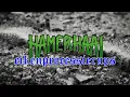 Download Lagu Hamerhaai - Eikenprocessierups (official video)