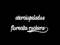 Florecita Rockera...Aterciopelados