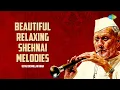 Lagu Beautiful Relaxing Shehnai Melodies | Ustad Bismillah Khan | Indian Classical Instrumental Music