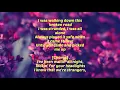 Demi Lovato    Hitchhiker  lyrics